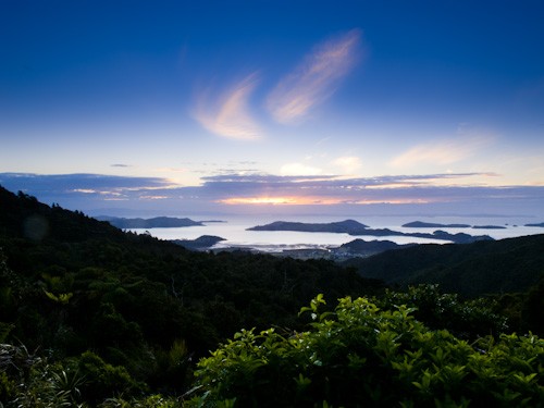 Coromandel from Above